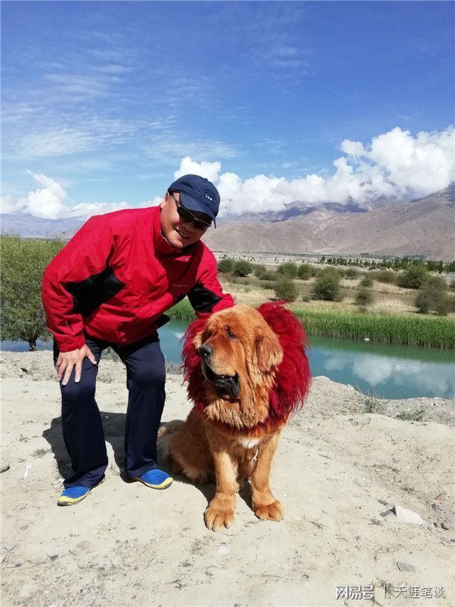 奥兰多魔术发布备战花絮;清晨状态回暖;足总杯任务艰巨;控场能力受关注的简单介绍 奥兰多魔术发布备战花絮;清晨状态回暖;足总杯任务艰巨;控场能力受关注的简单介绍